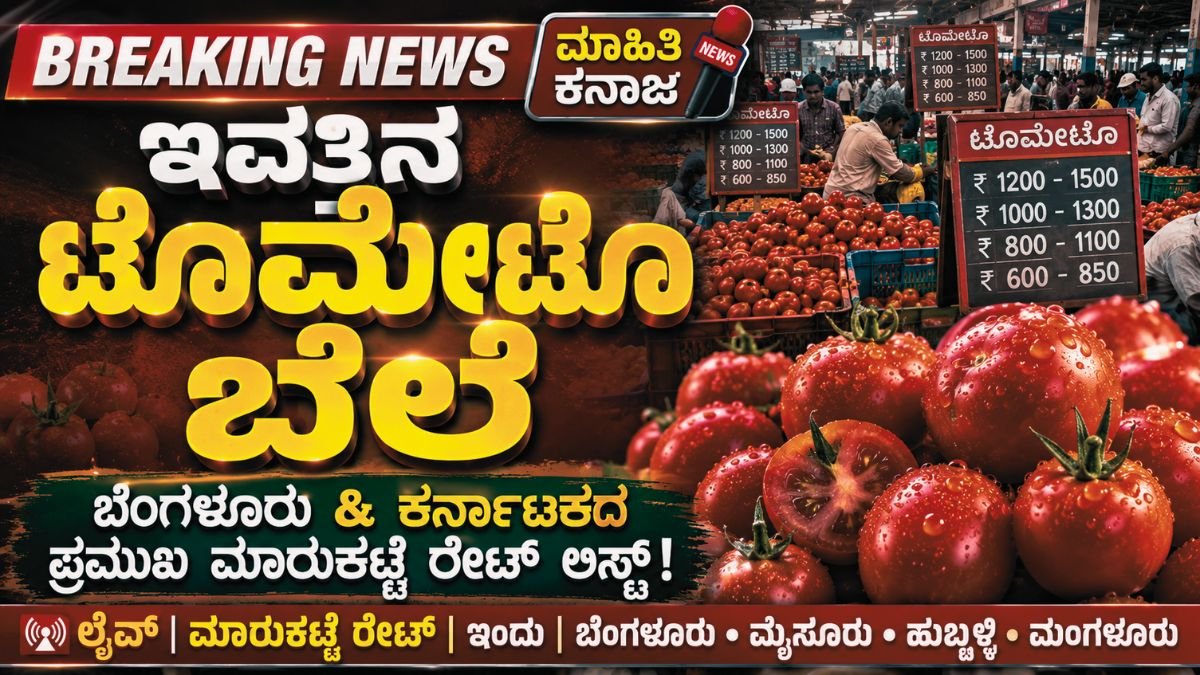 ಇಂದಿನ ಟೊಮೇಟೊ ಬೆಲೆ: ಕರ್ನಾಟಕದ ಪ್ರಮುಖ ಮಾರುಕಟ್ಟೆ ರೇಟ್ ಪಟ್ಟಿ – ಮೇ 8, 2026